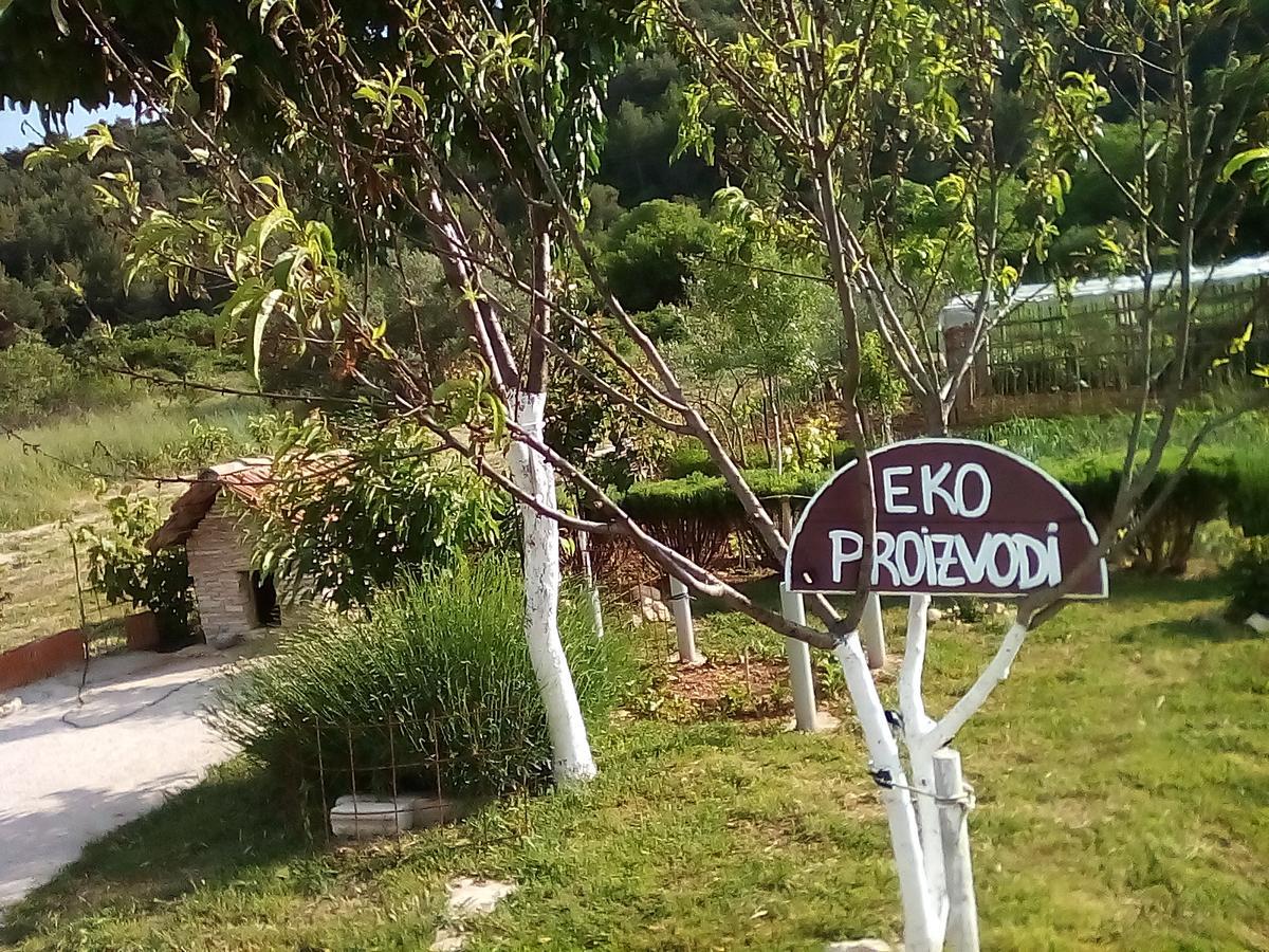 Apartman Rosa Apartment Skradin Ngoại thất bức ảnh