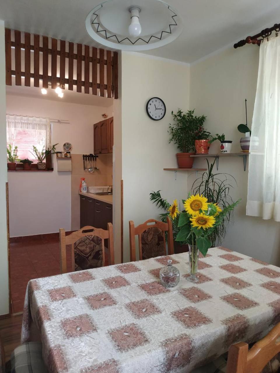 Apartman Rosa Apartment Skradin Ngoại thất bức ảnh